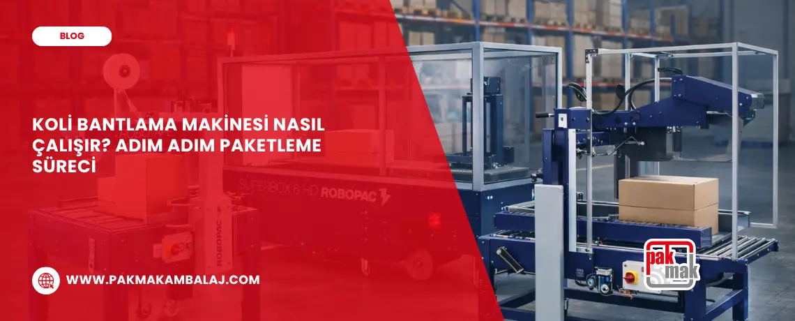 Koli Bantlama Makinesi Nasıl Çalışır? Adım Adım Paketleme Süreci