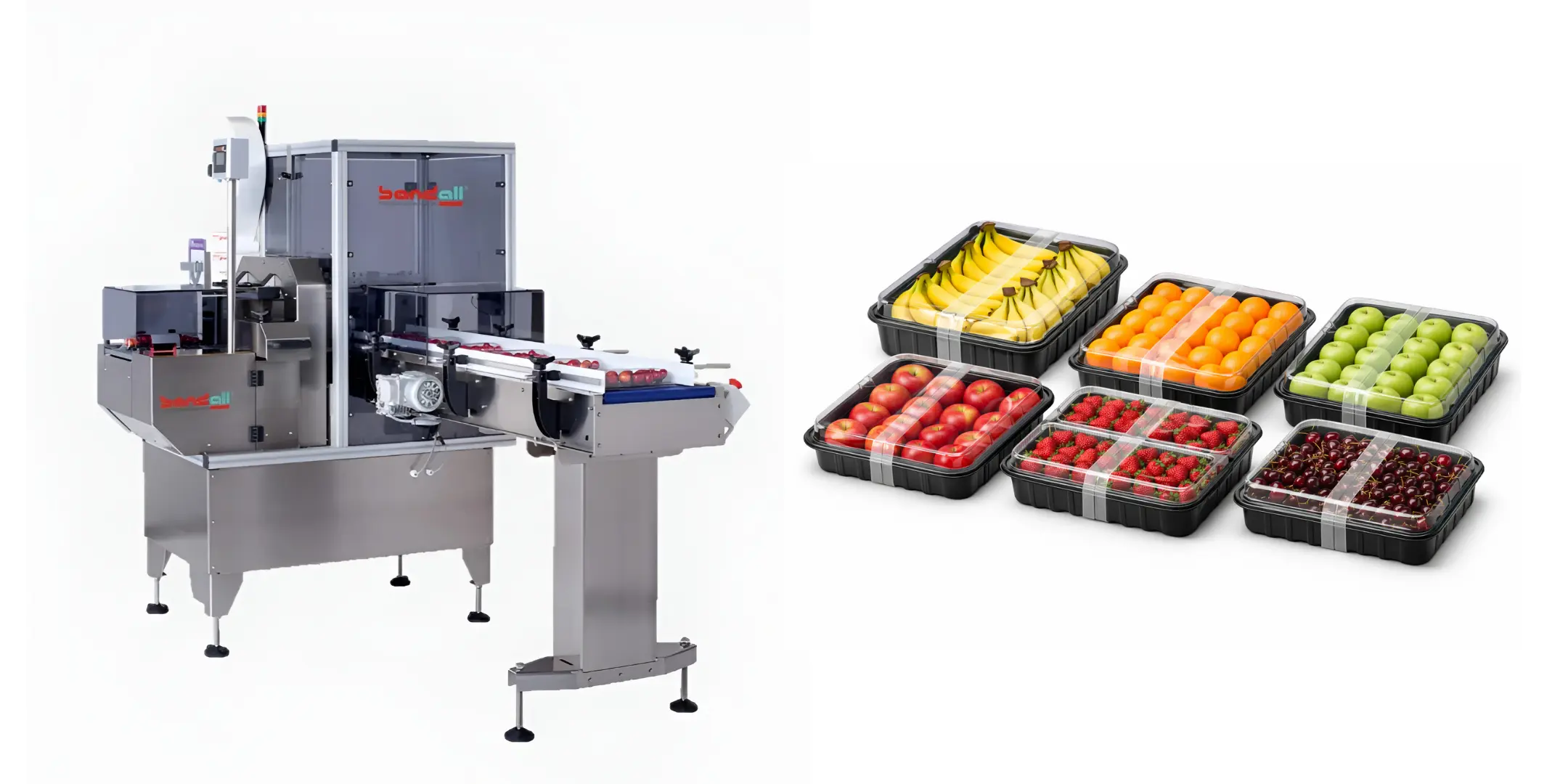 Bandall TRC Fully Automatic Banding Machine