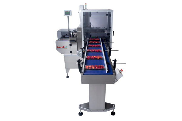 Bandall TRC Fully Automatic Banding Machine